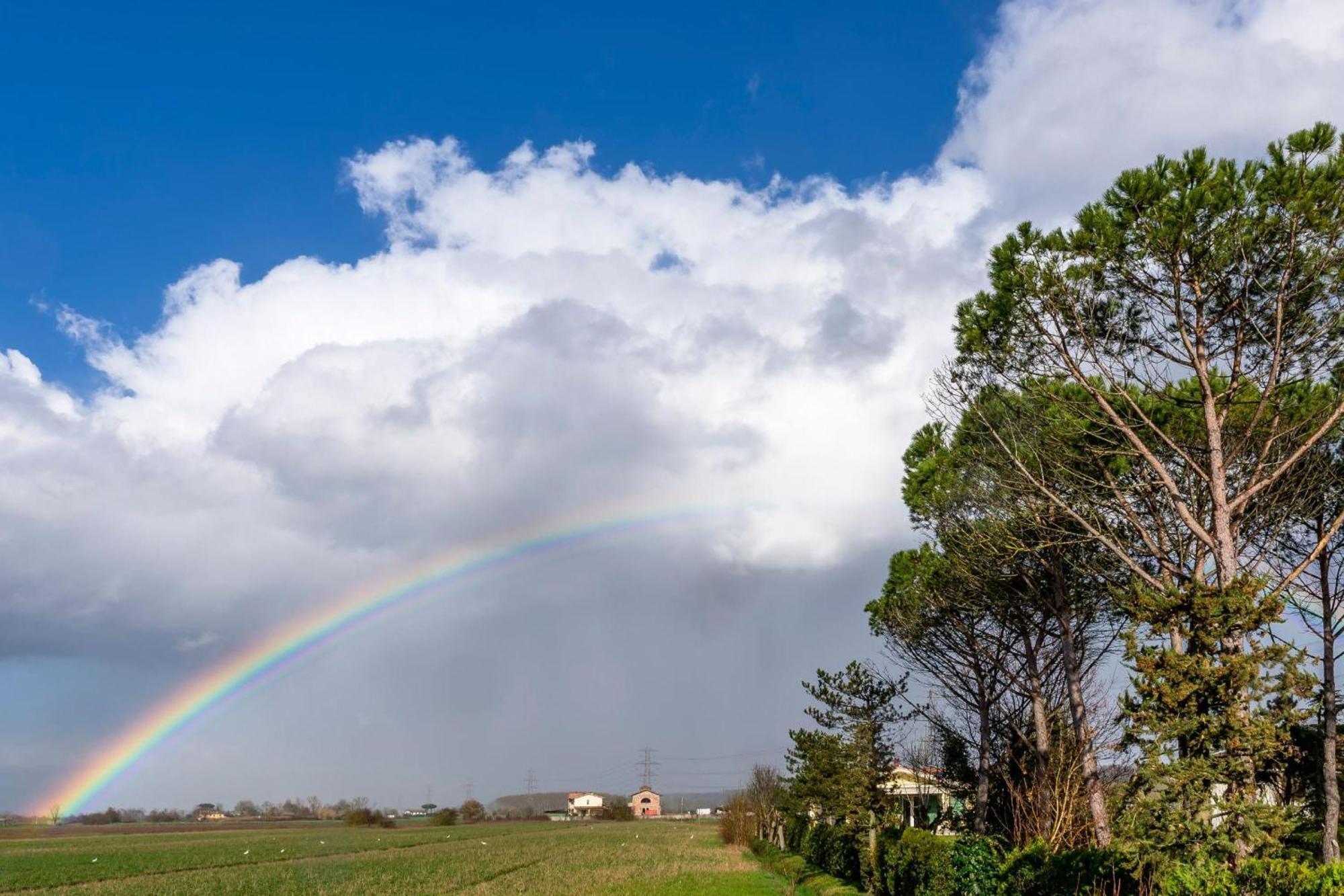 Tenuta Santa Colomba - Happy Rentals Bientina Dış mekan fotoğraf